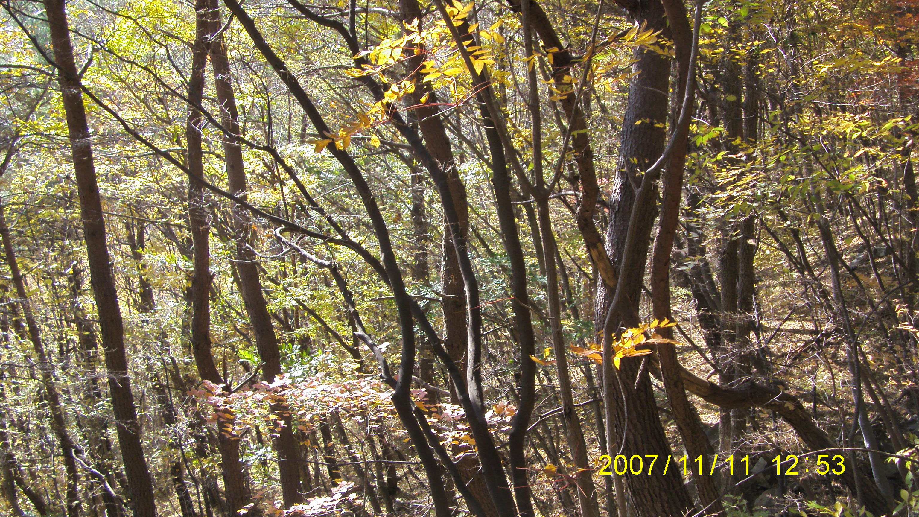 S73F2075.JPG