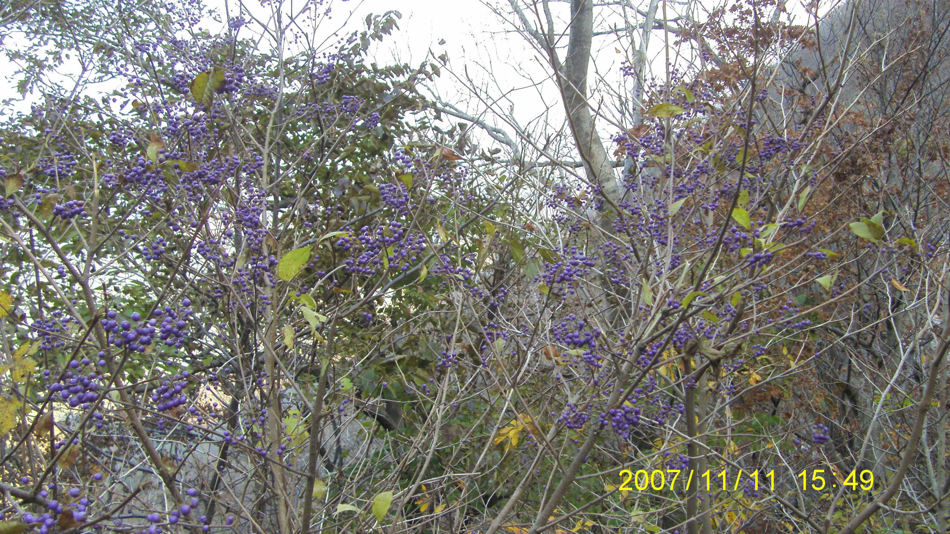 S73F2262.JPG
