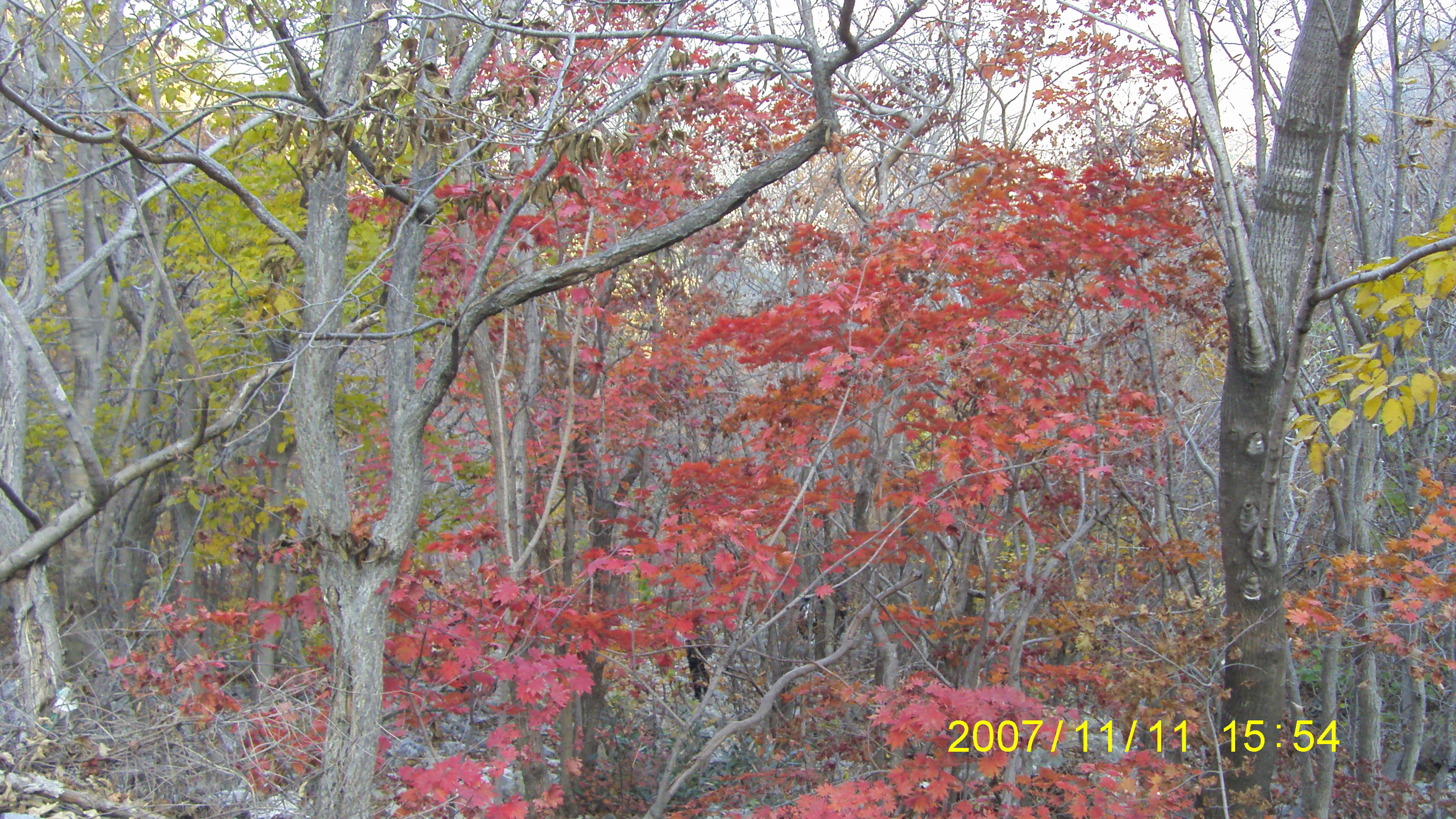 S73F2263.JPG