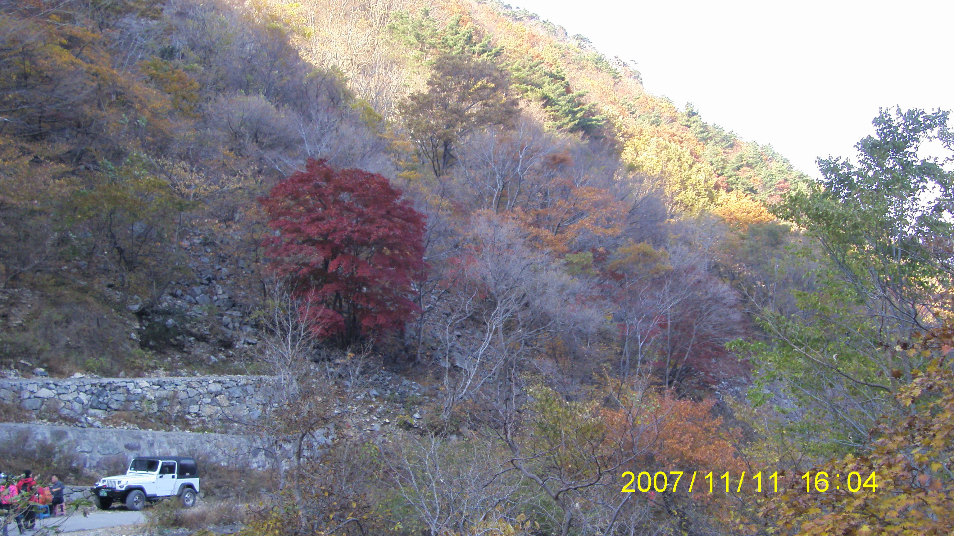 S73F2268.JPG