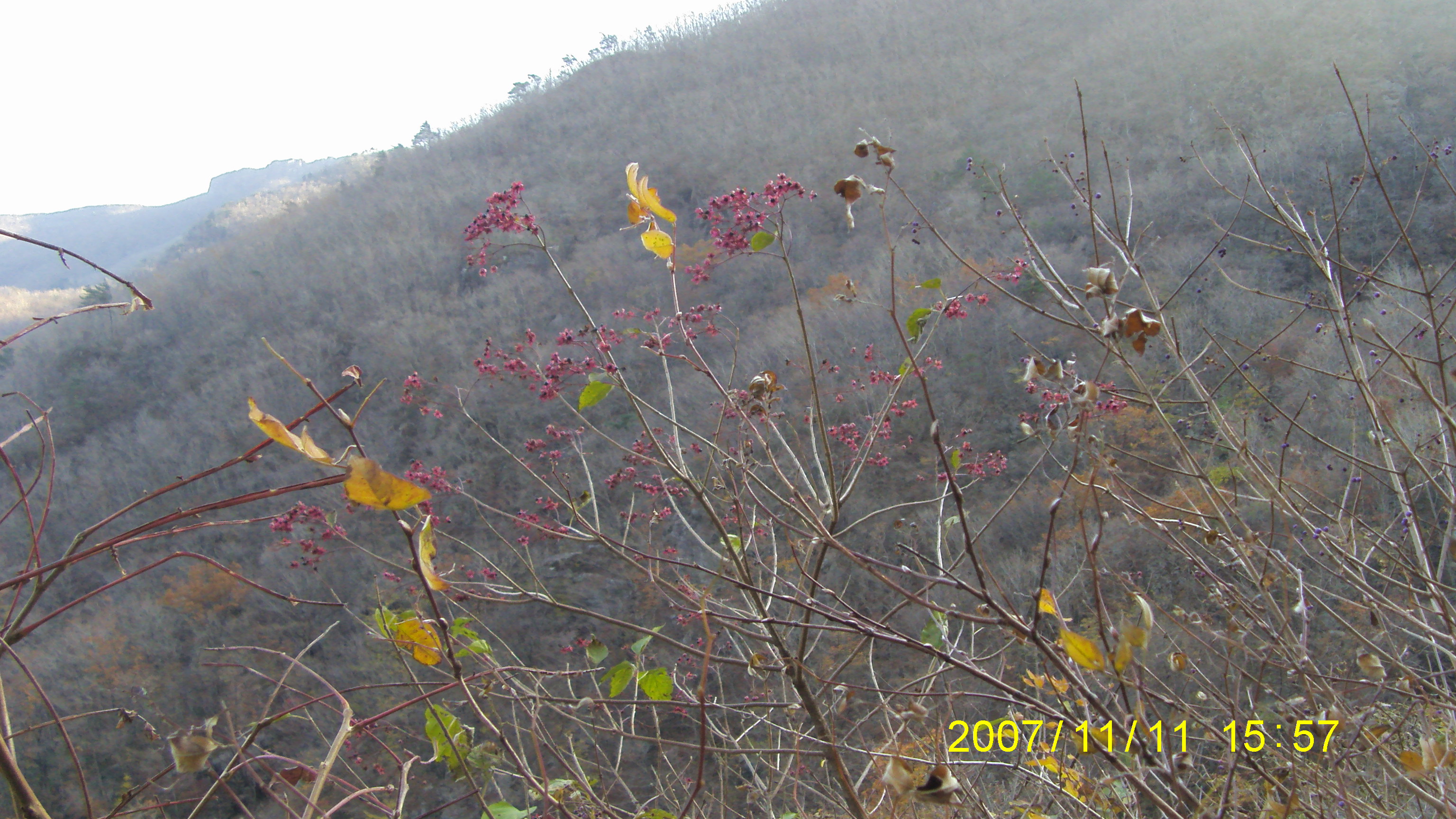 S73F2266.JPG