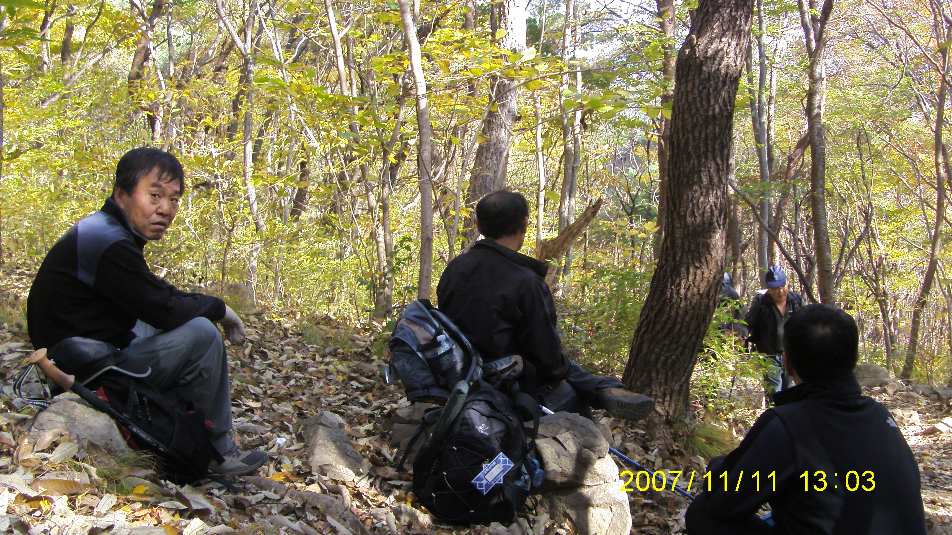 S73F2077.JPG