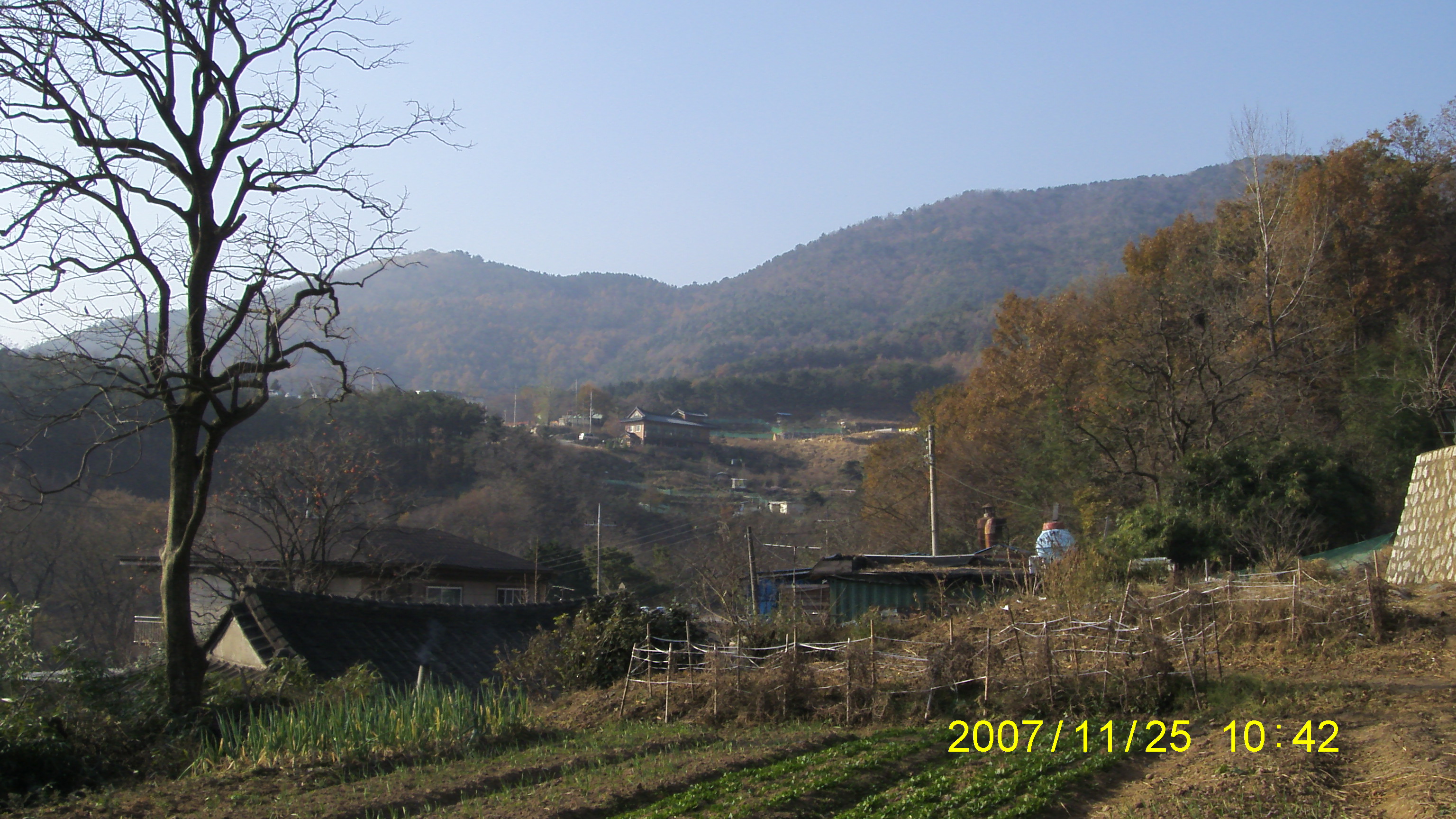 S73F2385.JPG