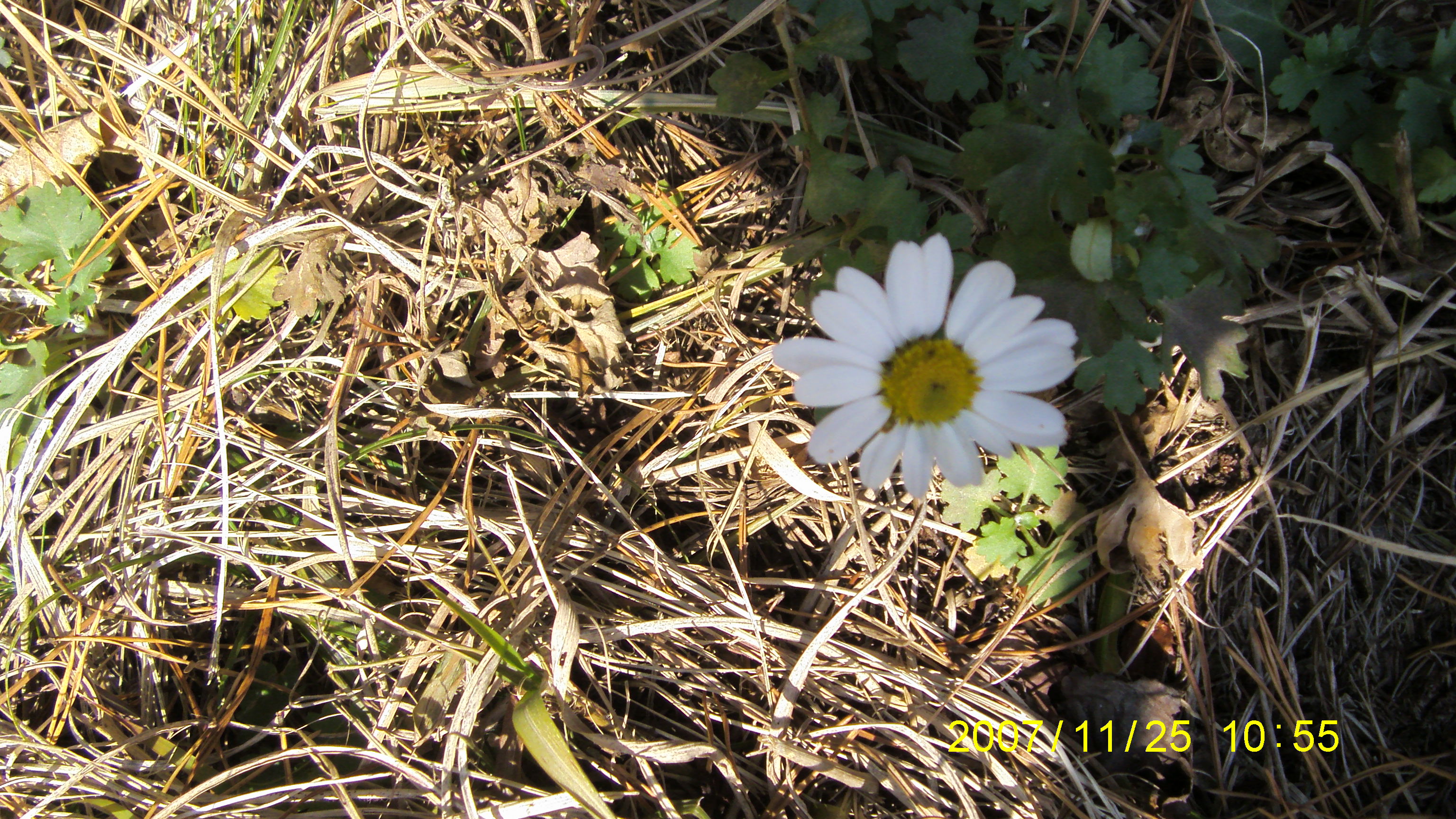 S73F2392.JPG