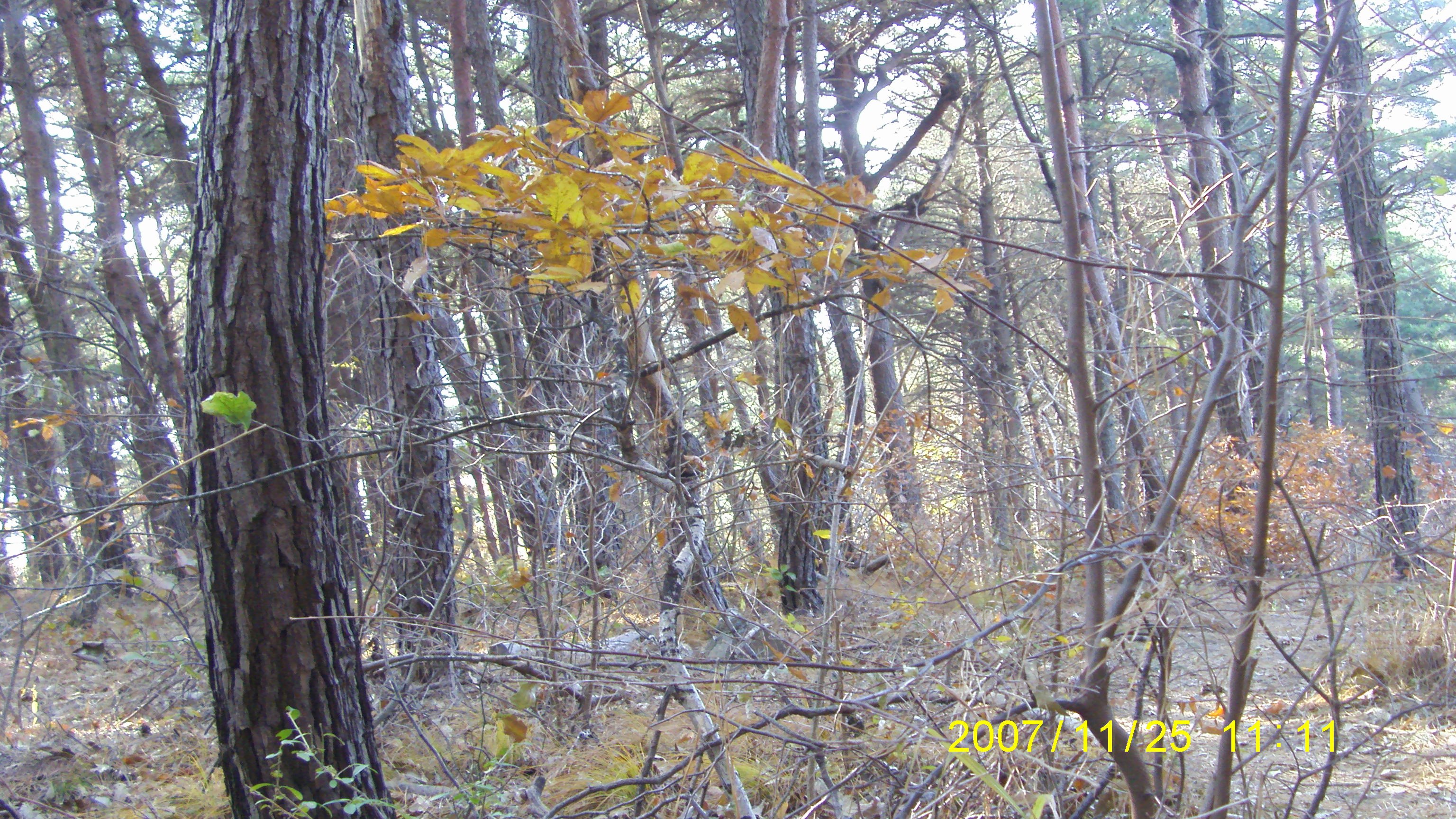 S73F2400.JPG
