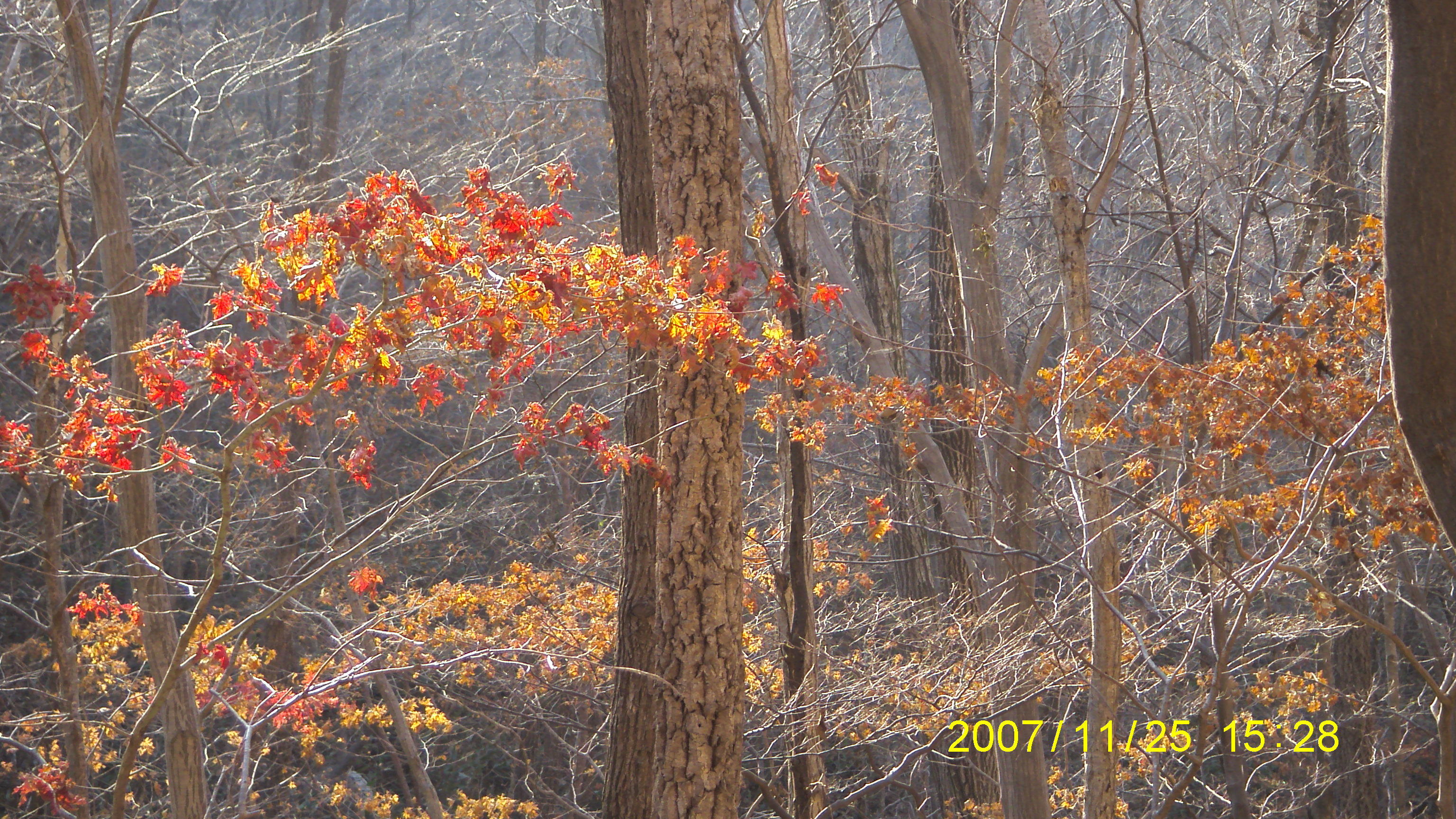 S73F2448.JPG
